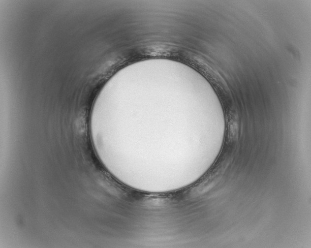 X0000114490620200911161214