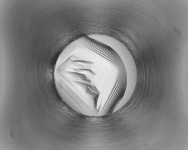 X0000114490621200911161214