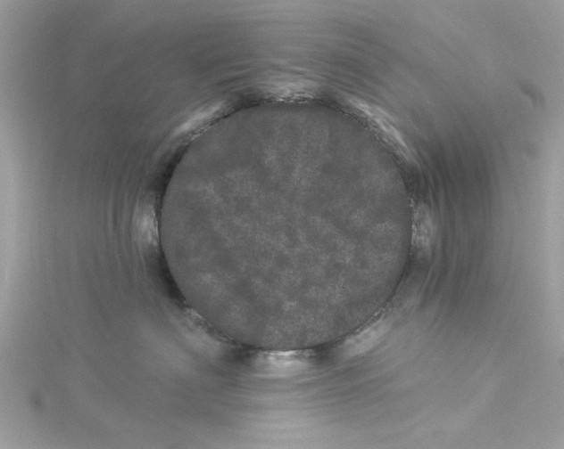 X0000114490622200911161214
