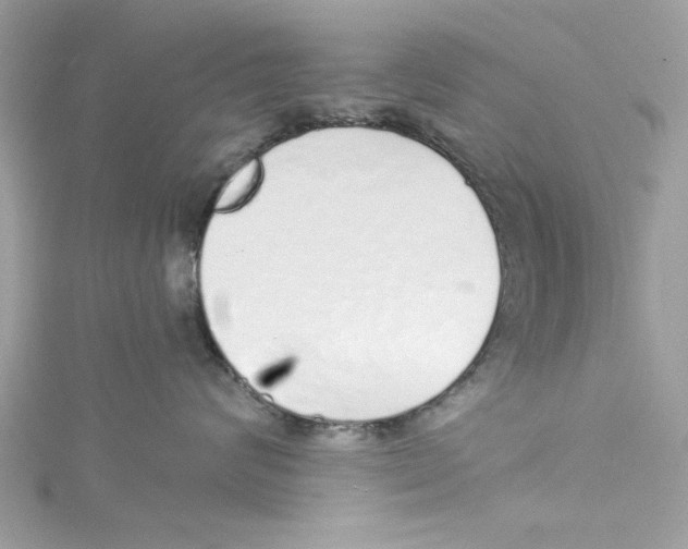 X0000114490624200911161214