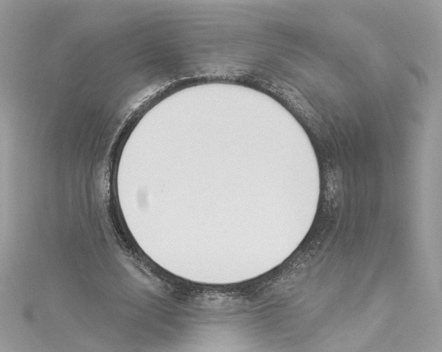 X0000114490632200911161213