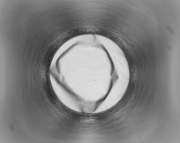 X0000114490643200911161213