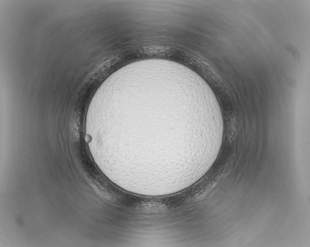 X0000114490644200911161213