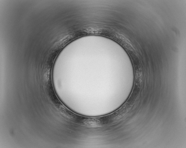 X0000114490652200911161213