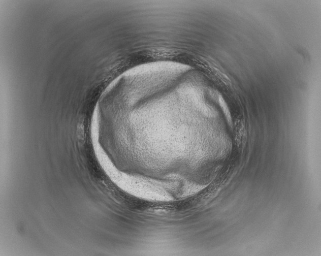 X0000114490655200911161213