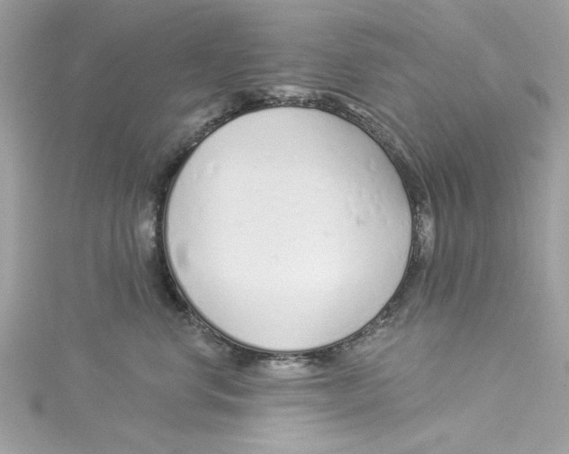 X0000114490668200911161214