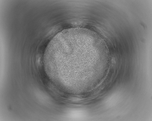 X0000114490671200911161214
