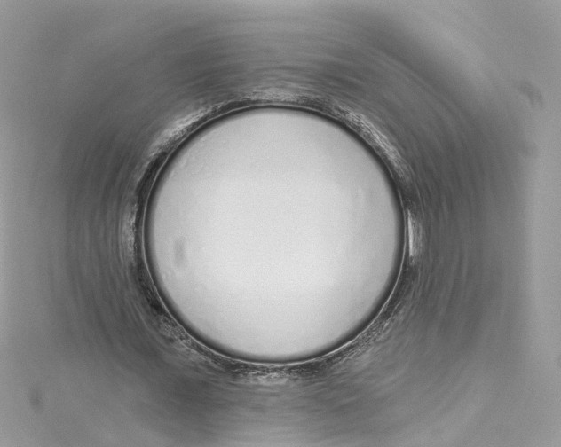 X0000114490675200911161213