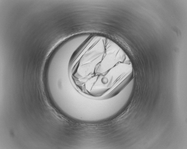 X0000114490676200911161213