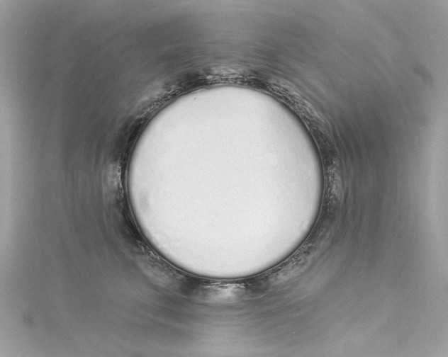 X0000114490711200911161212