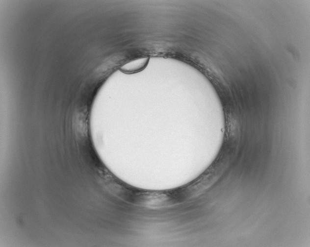 X0000114490719200911161212