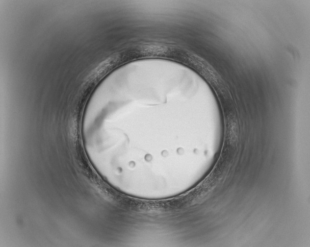 X0000114490729200911161212