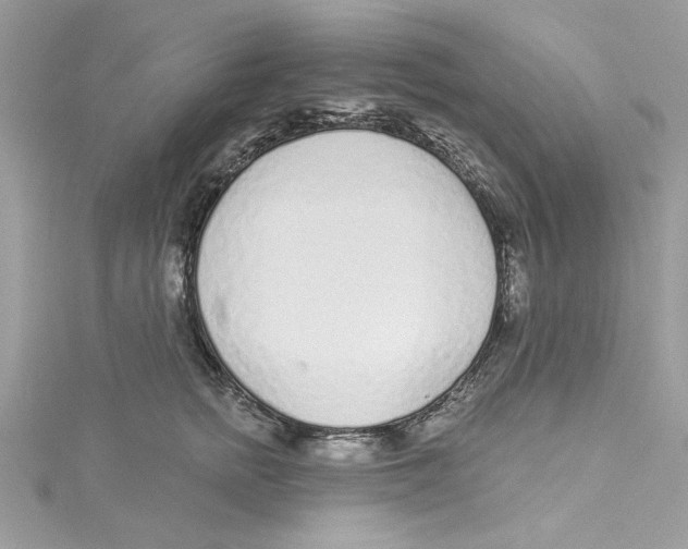 X0000114490758200911161212