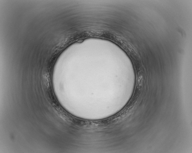 X0000114490772200911161211