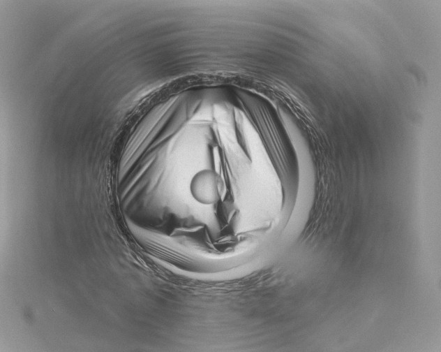 X0000114490773200911161211