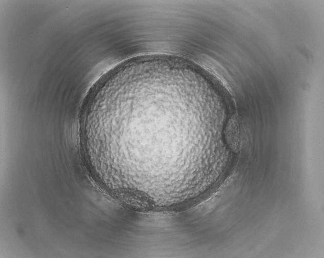 X0000114490781200911161211