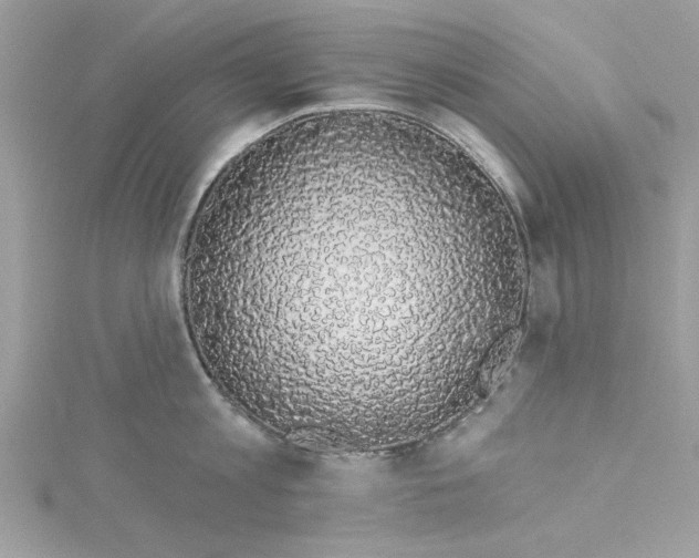 X0000114490813200911161211