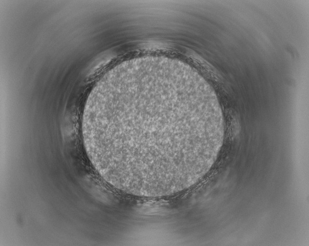 X0000114490824200911161210