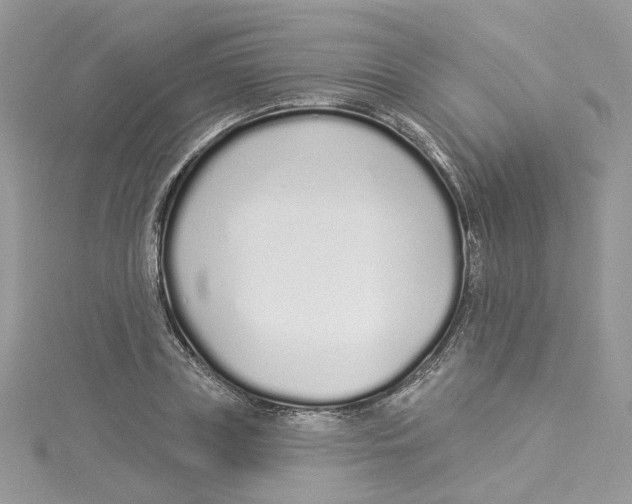 X0000114490835200911161211