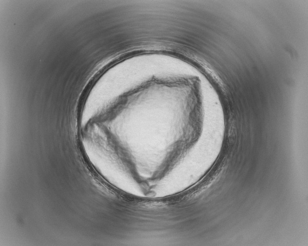 X0000114490837200911161211