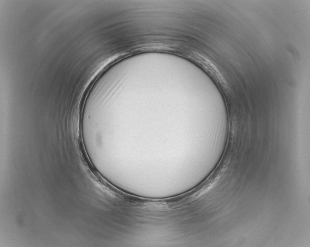 X0000114490844200911161211