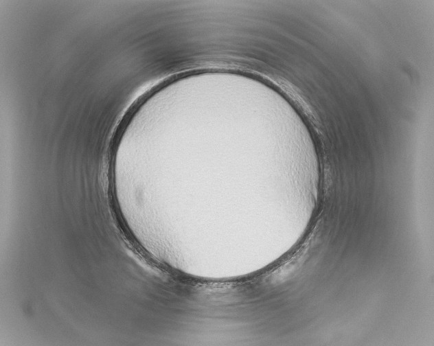 X0000114490846200911161211