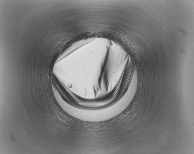 X0000114490868200911161210