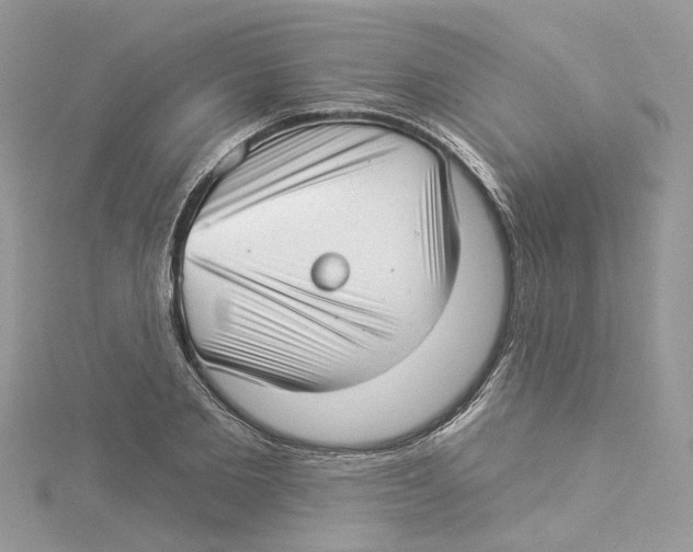 X0000114490885200911161210