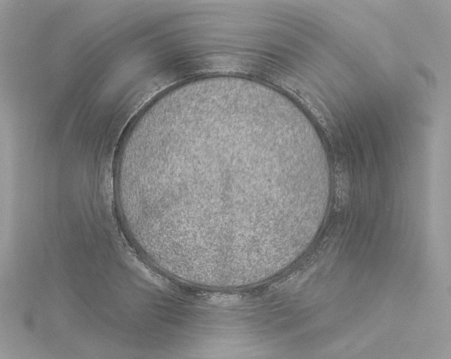 X0000114490890200911161210