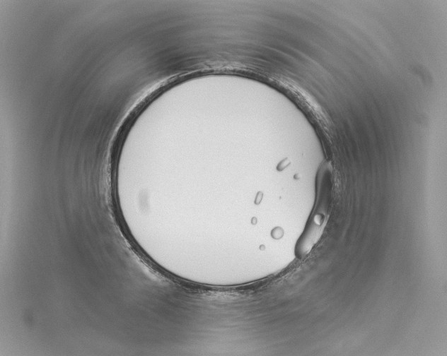 X0000114490894200911161210