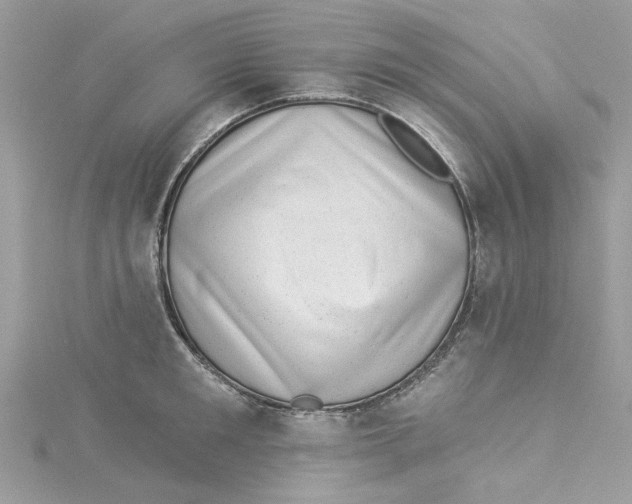 X0000114490901200911161210