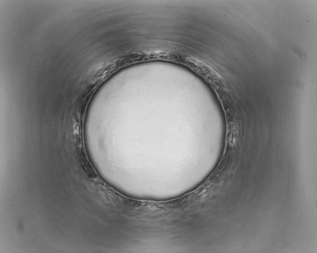 X0000114490917200911161209
