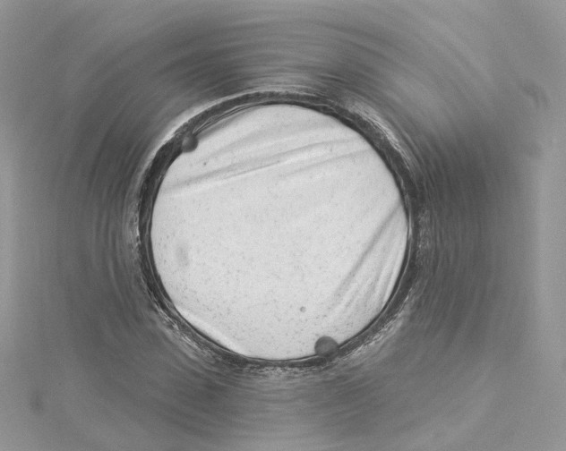 X0000114490923200911161209