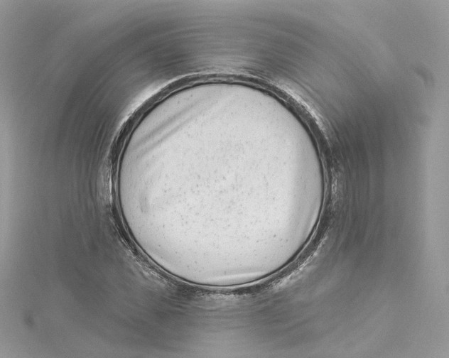 X0000114490925200911161209