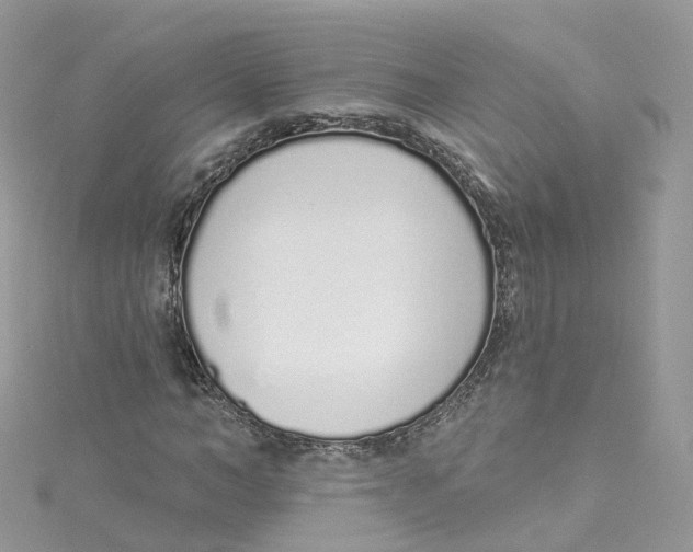 X0000114490966200911161209