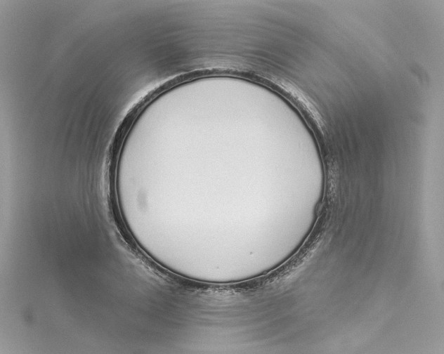 X0000114490983200911161209