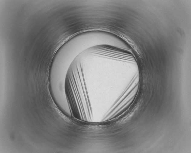 X0000114490985200911161209