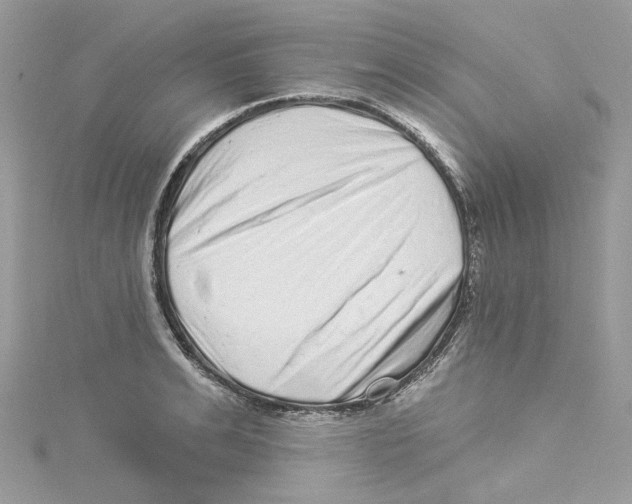 X0000114490991200911161209