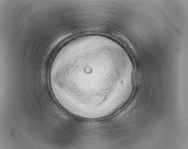 X0000114491019200911161208