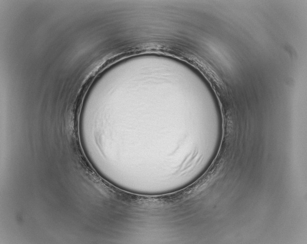 X0000114491023200911161208