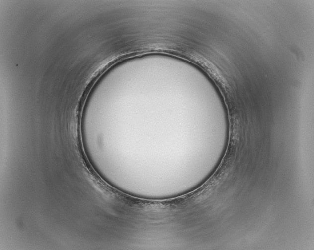 X0000114491031200911161208