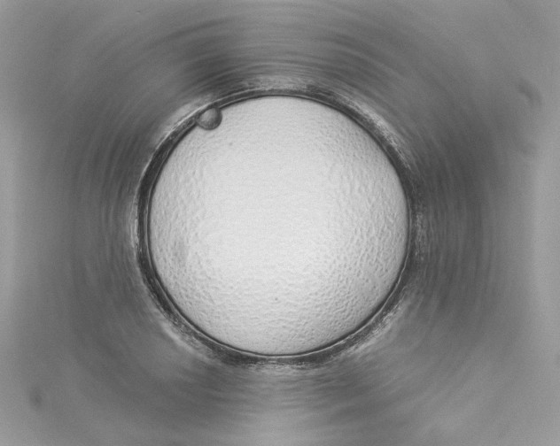 X0000114491034200911161208