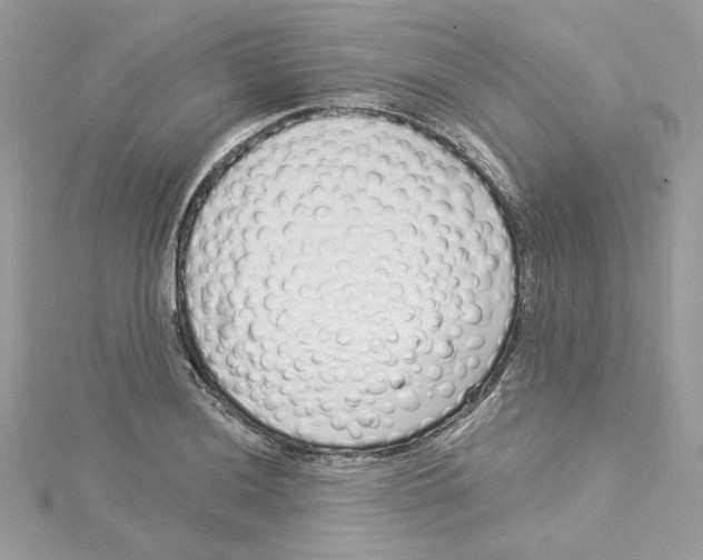 X0000114491036200911161208