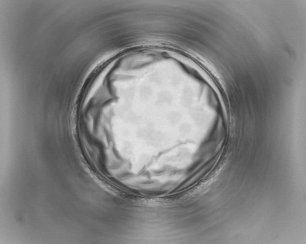 X0000114491045200911161208