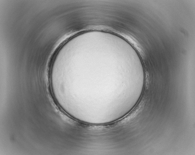 X0000114491046200911161208