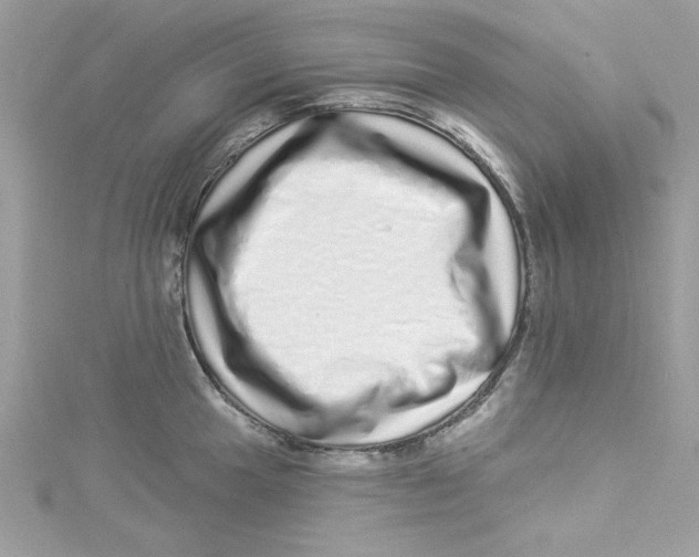 X0000114491049200911161208