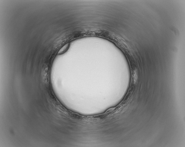 X0000114491059200911161208