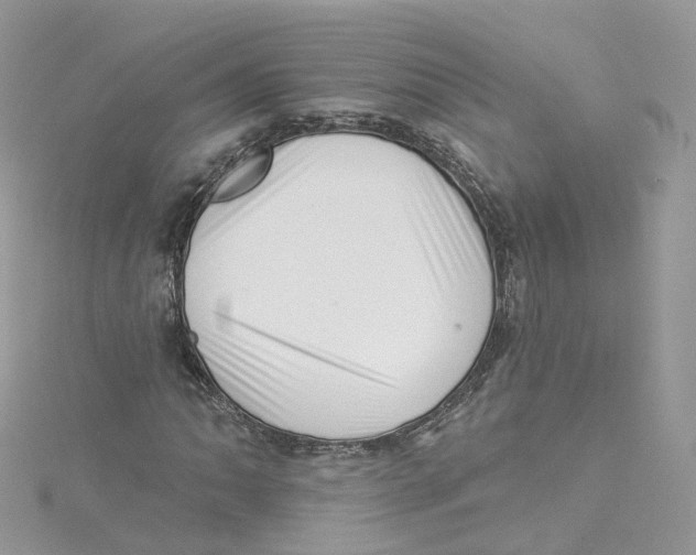 X0000114491062200911161208