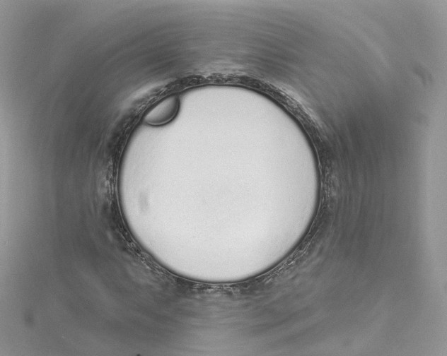 X0000114491063200911161208