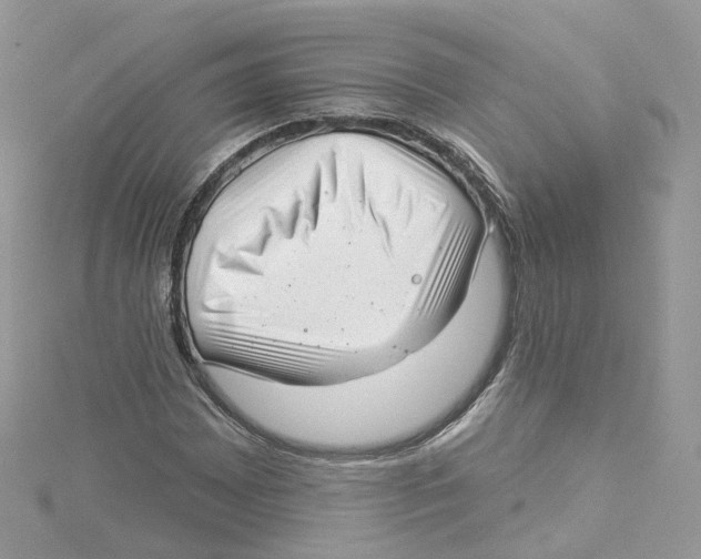 X0000114491065200911161208